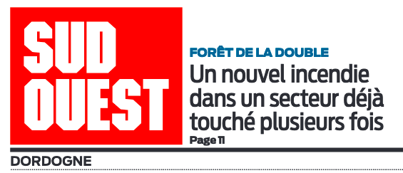 Incendie dans la forêt de la Double à La Roche-Chalais
